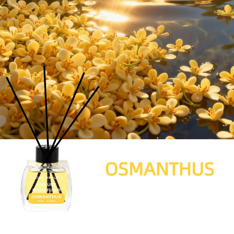 120ml Aroma Diffuser Air Freshener